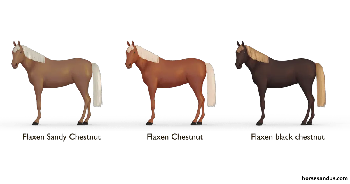 The 3 base horse colours. Horse colour flaxen chestnut shades