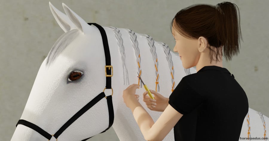 9 Horse Braiding Tools (PDF download) - Horses and Us