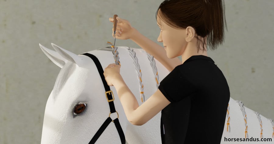 Horse Braiding Supplies