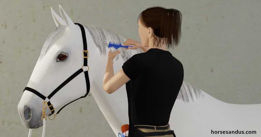 Harry's Horse Braid Assistant einflechtkamm criniera pettine con clip 