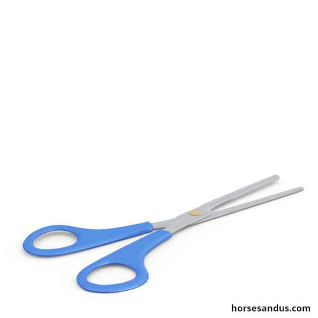 scissors