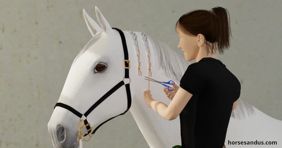 scissors horse braiding