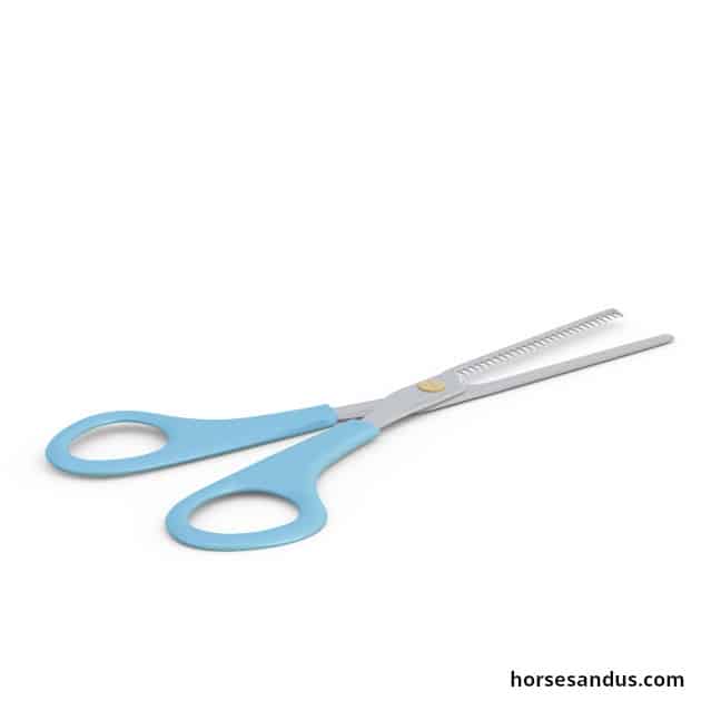 thinning shears for horse mane