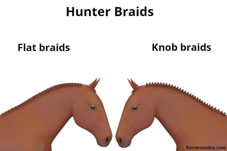 Horse Hunter Braids - Flat braids and Knob braids
